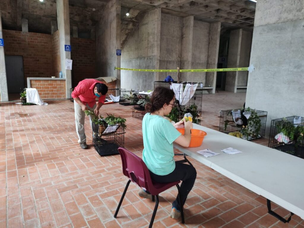 AJEMEX refuerza la protección del mono aullador