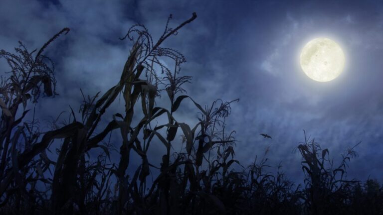 Septiembre de 2025 estará marcado por dos eclipses