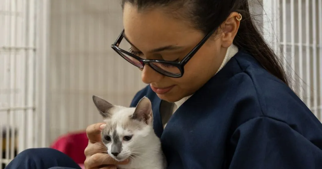 La iniciativa de Víctor González Herrera, CEO de Farmacias Similares, busca mejorar la calidad de vida de miles de gatitos abandonados.