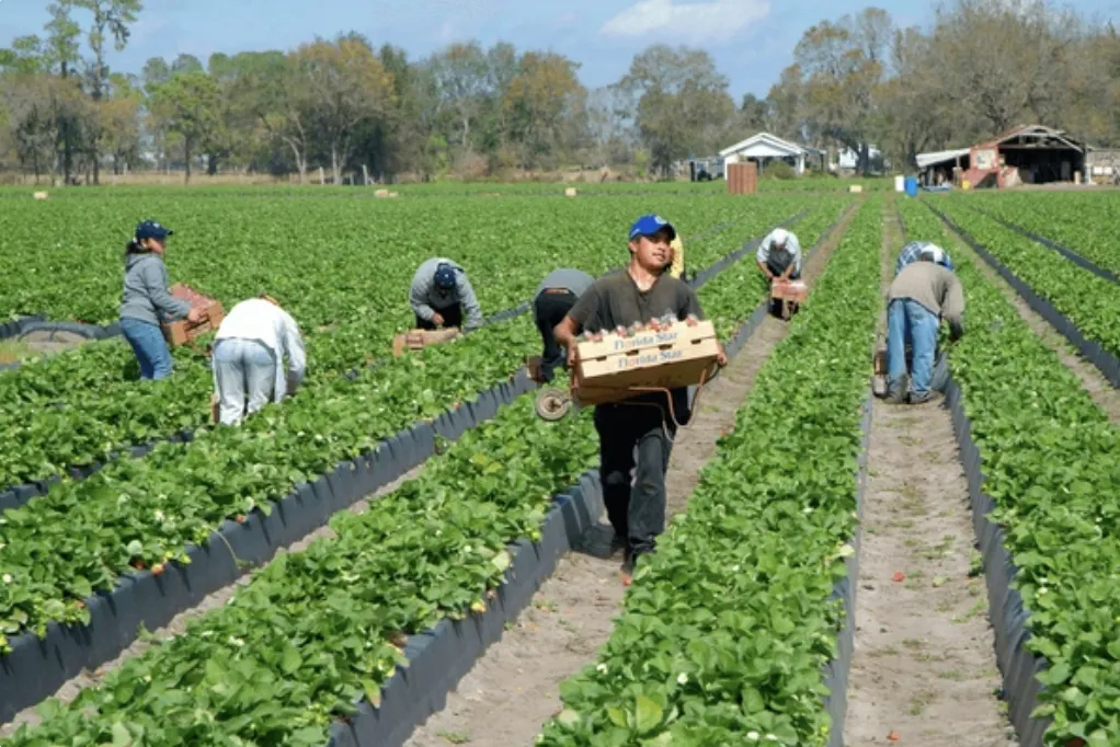 Alejandro Martínez Araiza considera que la situación de los trabajadores migrantes en América del Norte representa uno de los mayores desafíos para la integración económica de la región.
