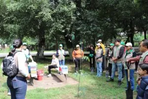 Colaboradores de Grupo AJE participan en jornadas de voluntariado, reforestación y limpieza durante el aniversario 38 de la compañía.