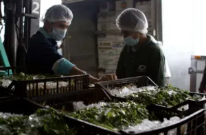 Jack Landsmanas destaca implementación de prácticas sostenibles en la industria alimentaria mediante compras nacionales, aprovechamiento de recursos y reducción de residuos.