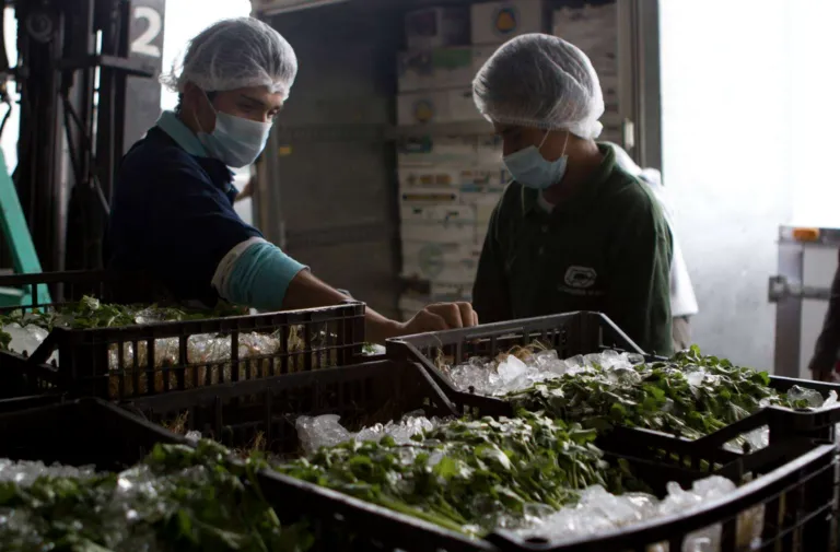 Jack Landsmanas destaca implementación de prácticas sostenibles en la industria alimentaria mediante compras nacionales, aprovechamiento de recursos y reducción de residuos.